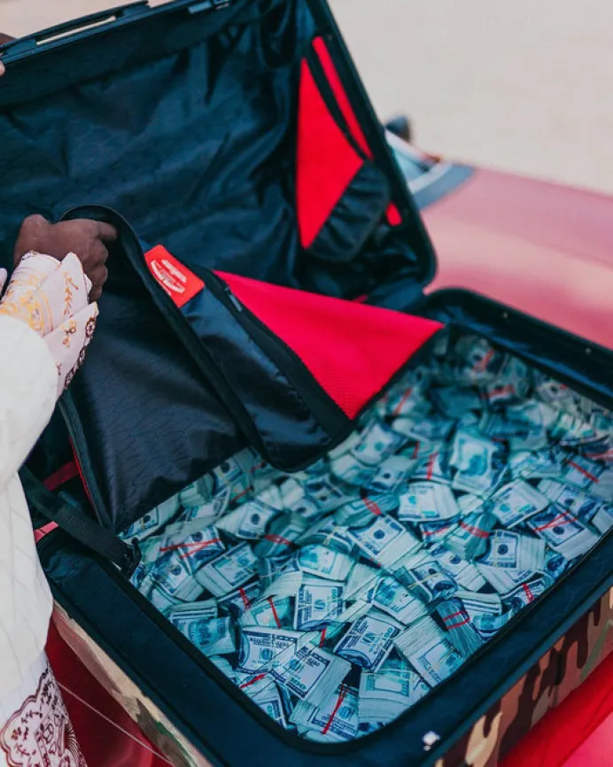 JUNGLE PARIS 29.5u201d FULL-SIZE SHARKITECTURE LUGGAGE