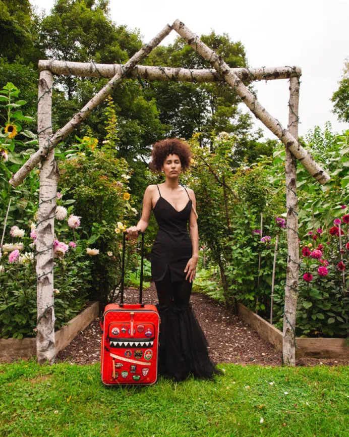 THE GLOBAL EXPEDITION JETSETTER CARRY-ON LUGGAGE