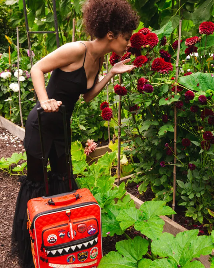 THE GLOBAL EXPEDITION JETSETTER CARRY-ON LUGGAGE