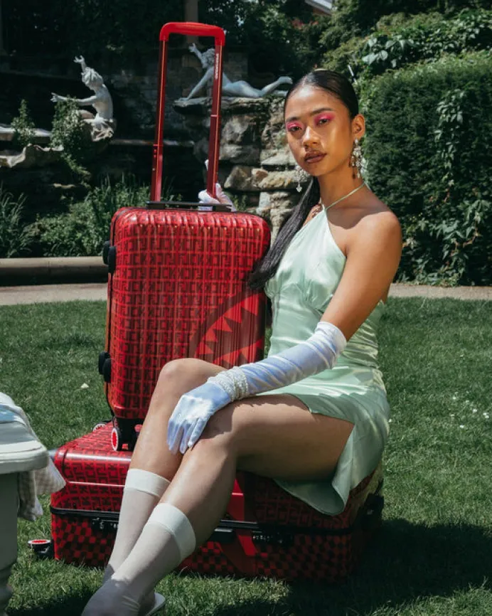 VENI VIDI VICI LUGGAGE